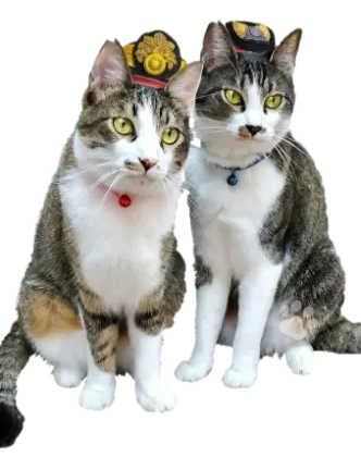 二代目やまと・副駅長ちどり